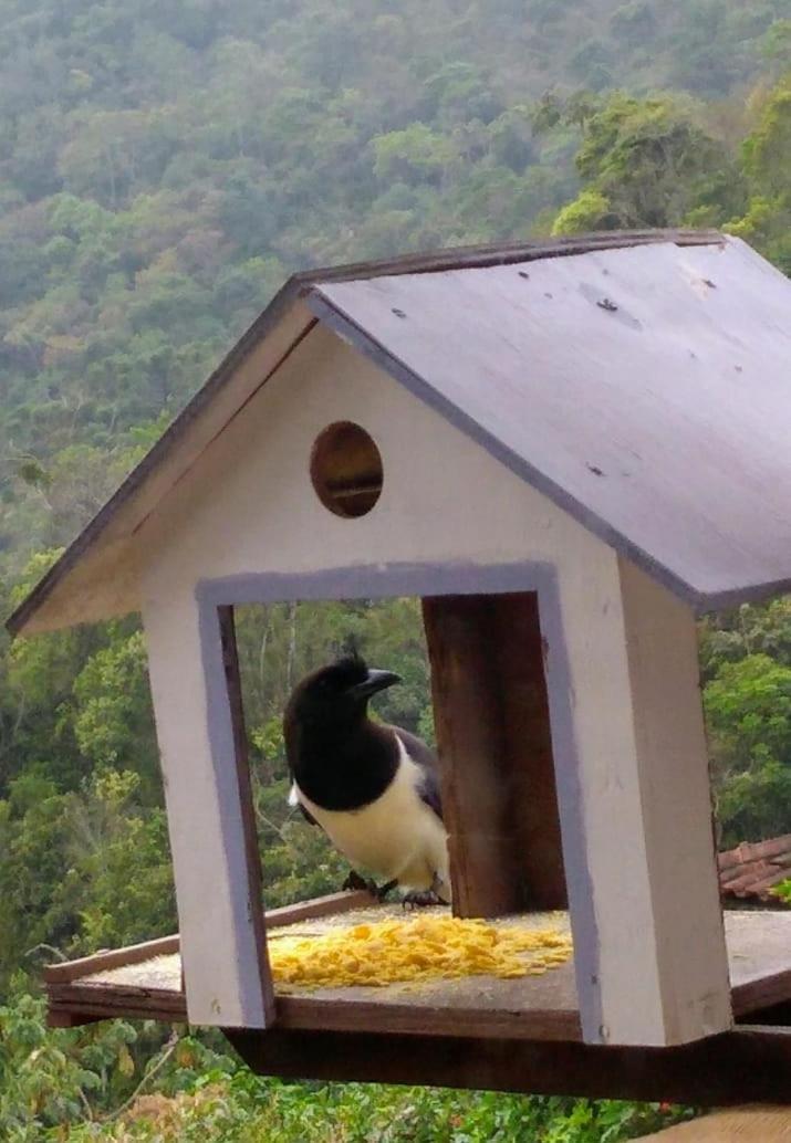 Holiday home Casa Sossego Da Montanha *