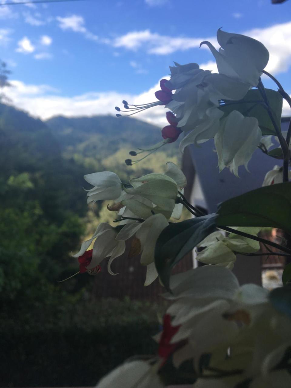 Holiday home Casa Sossego Da Montanha *